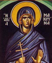 ste-m-02.jpg ./images/ste-m-02.jpg